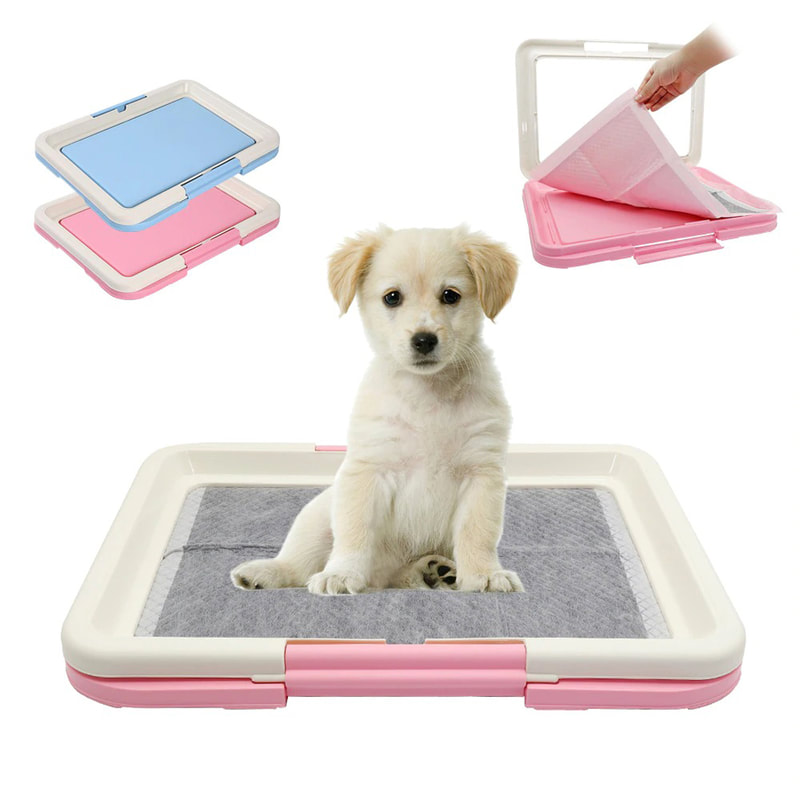 how to train a puppy to potty in litter box